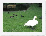 Dierentuin Burgers  Zoo 028 * 3648 x 2736 * (6.43MB)